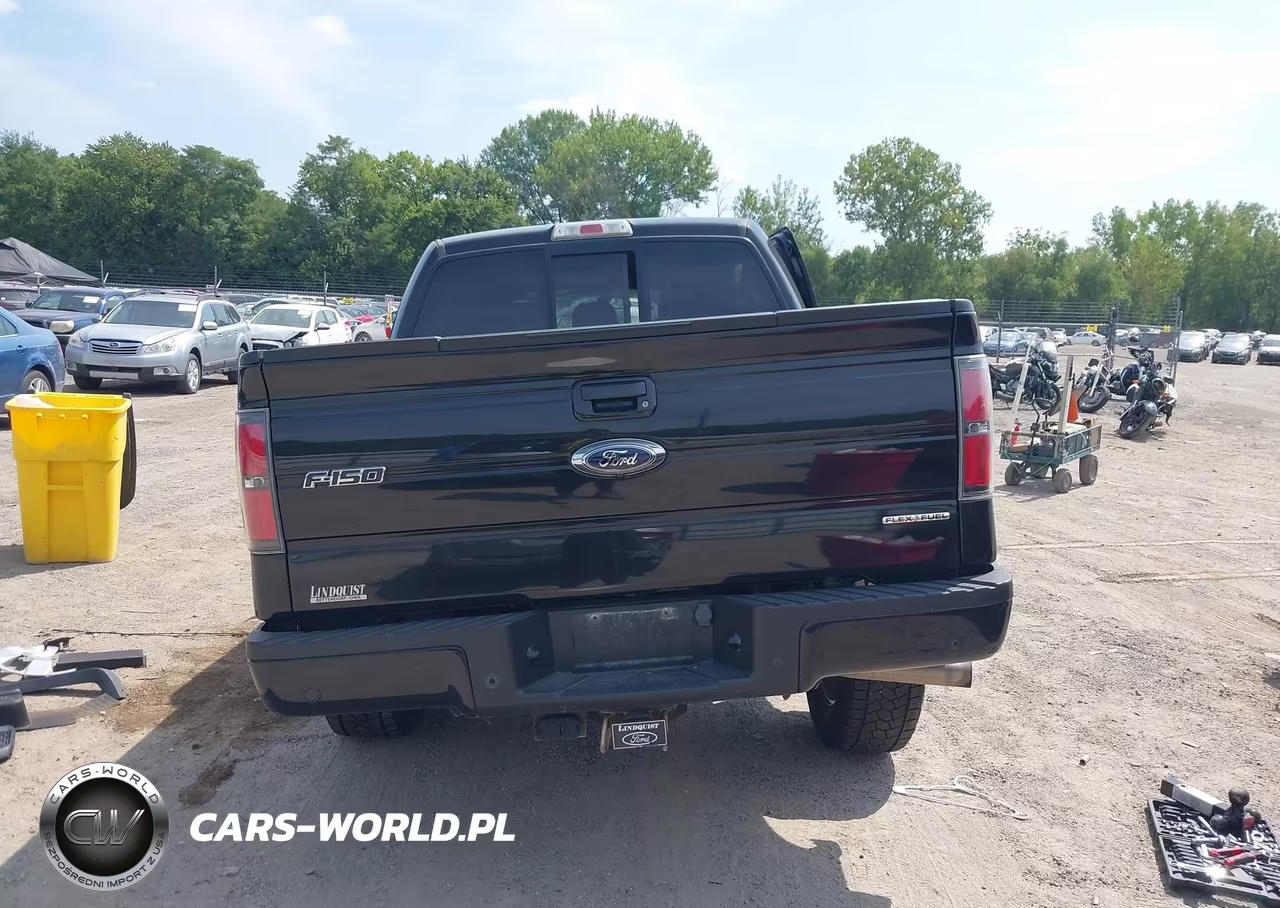 2013 Ford F-150 Fx4 VIN:1FTFW1EF0DKD72198 - 17