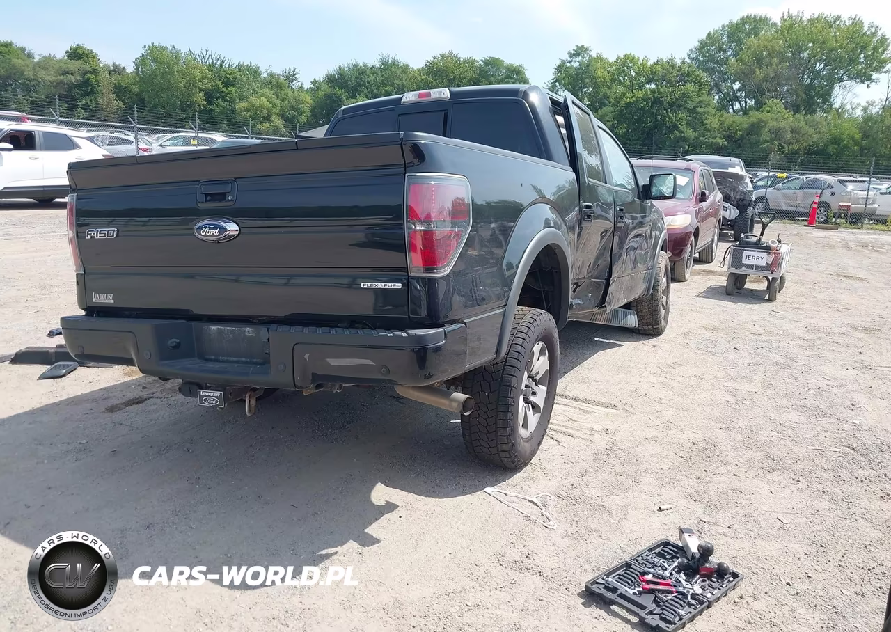 2013 Ford F-150 Fx4 VIN:1FTFW1EF0DKD72198 - 4