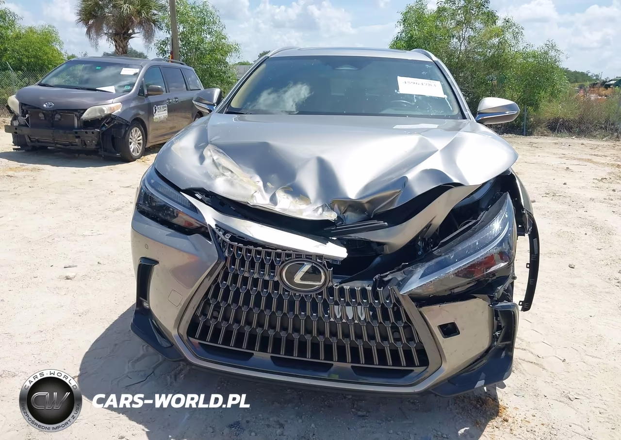 2025 Lexus Nx 250 Premium VIN:2T2GDCAZ5SC018192 - 12