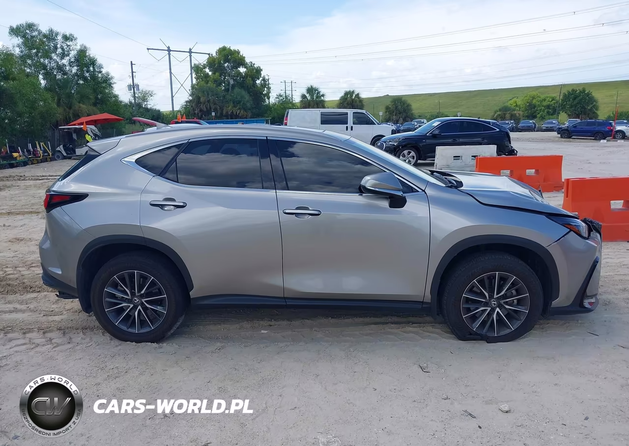 2025 Lexus Nx 250 Premium VIN:2T2GDCAZ5SC018192 - 13