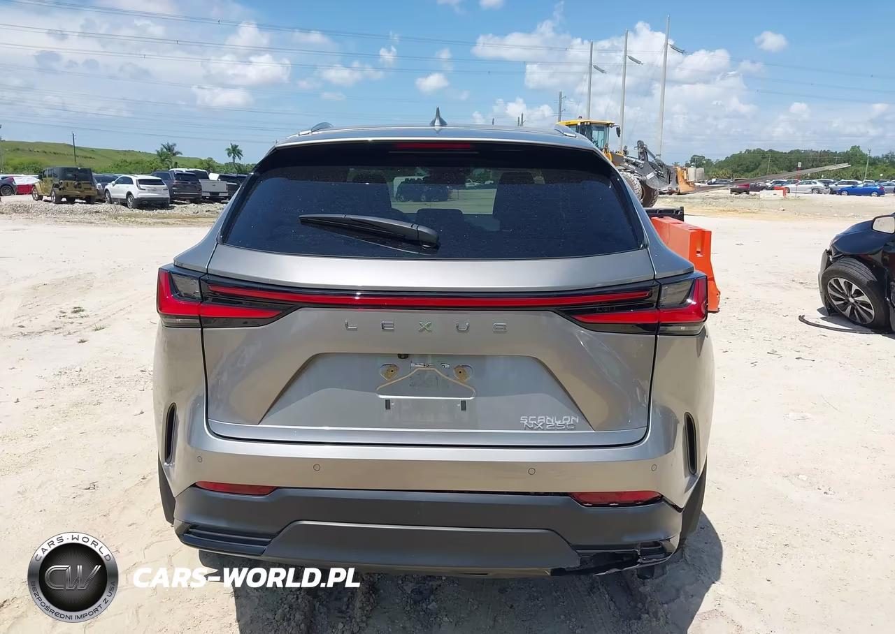 2025 Lexus Nx 250 Premium VIN:2T2GDCAZ5SC018192 - 16
