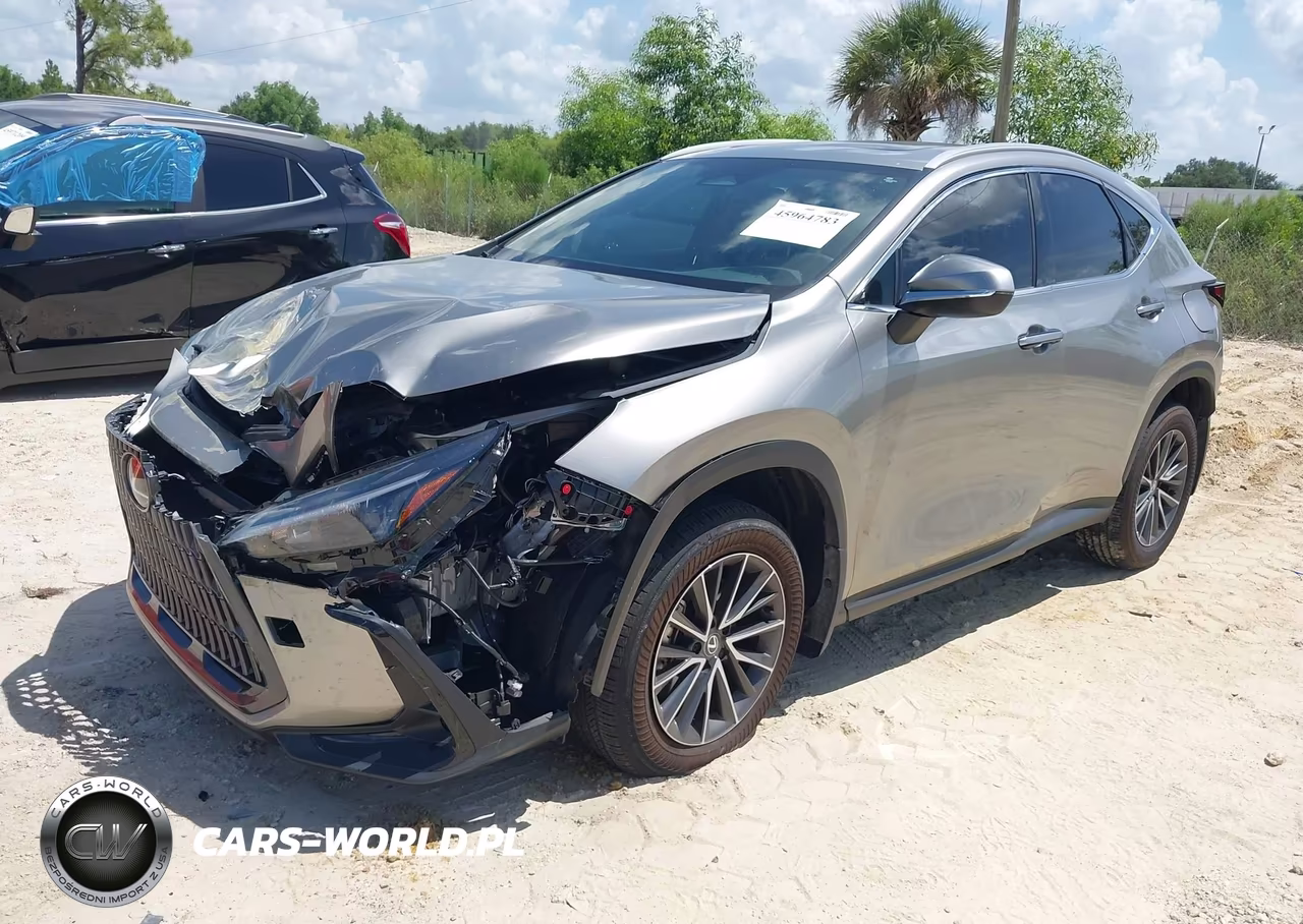 2025 Lexus Nx 250 Premium VIN:2T2GDCAZ5SC018192 - 2