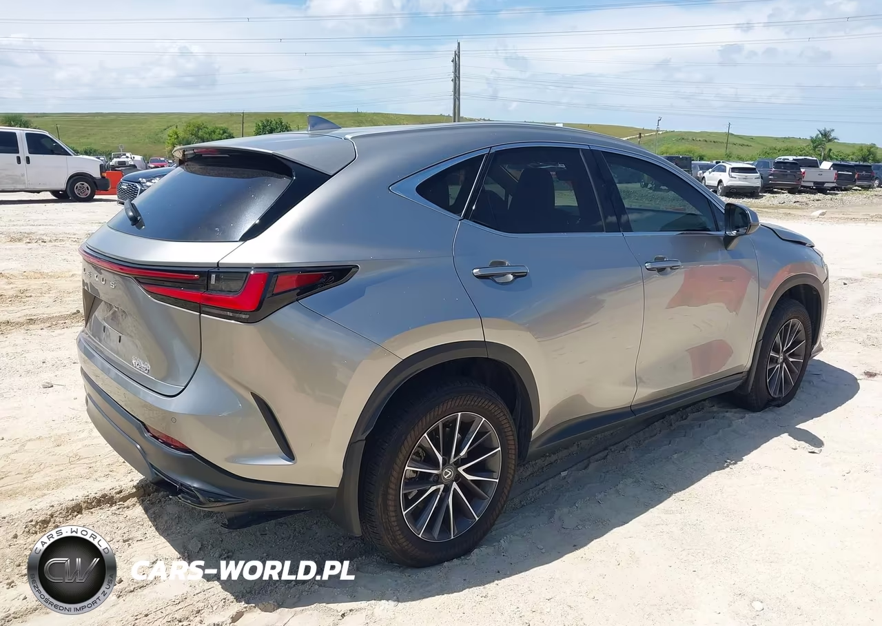 2025 Lexus Nx 250 Premium VIN:2T2GDCAZ5SC018192 - 4