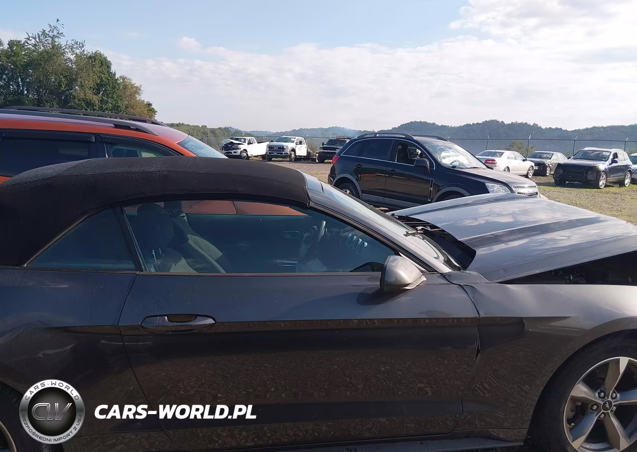 2016 Ford Mustang V6 VIN:1FATP8EM9G5299770 - 14