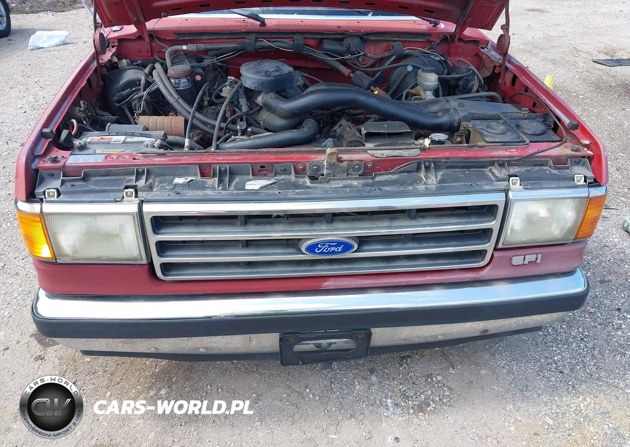 1991 Ford F150 VIN:1FTDF15N7MNA86619 - 10