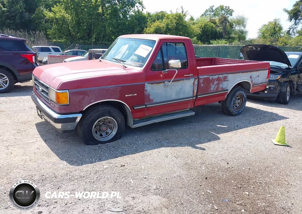 1991 Ford F150 VIN:1FTDF15N7MNA86619 - 2