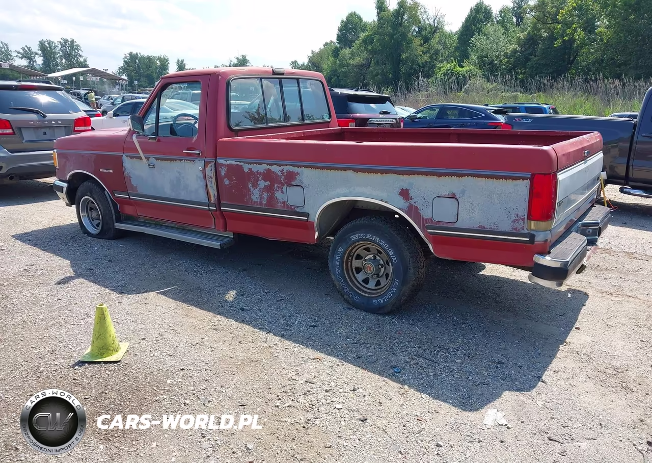 1991 Ford F150 VIN:1FTDF15N7MNA86619 - 3