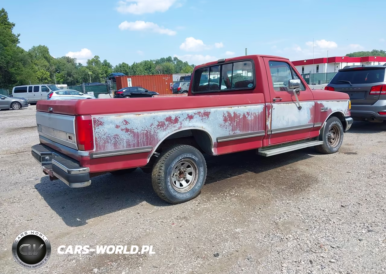 1991 Ford F150 VIN:1FTDF15N7MNA86619 - 4