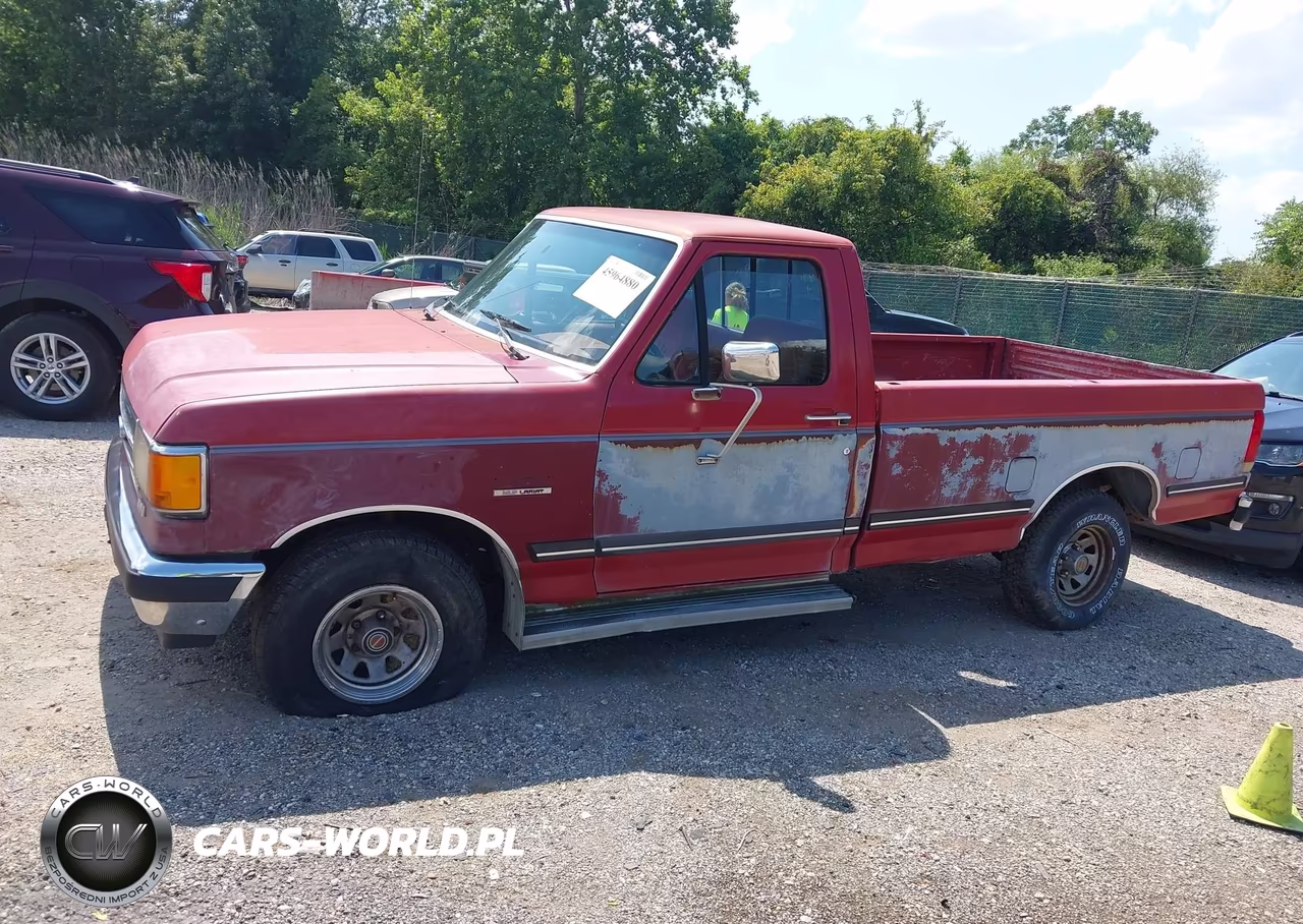 1991 Ford F150 VIN:1FTDF15N7MNA86619 - 6