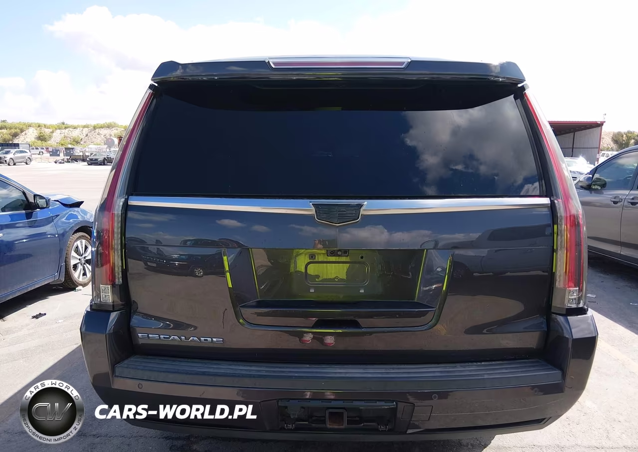 2017 Cadillac Escalade Esv Platinum VIN:1GYS4KKJ3HR311180 - 16