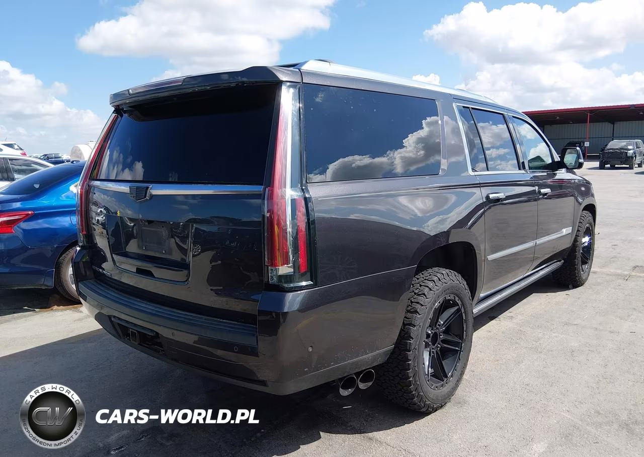 2017 Cadillac Escalade Esv Platinum VIN:1GYS4KKJ3HR311180 - 4