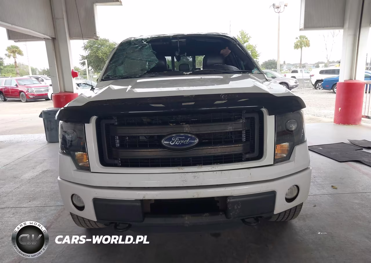 2013 Ford F-150 Fx4 VIN:1FTFW1ET4DFC85239 - 12