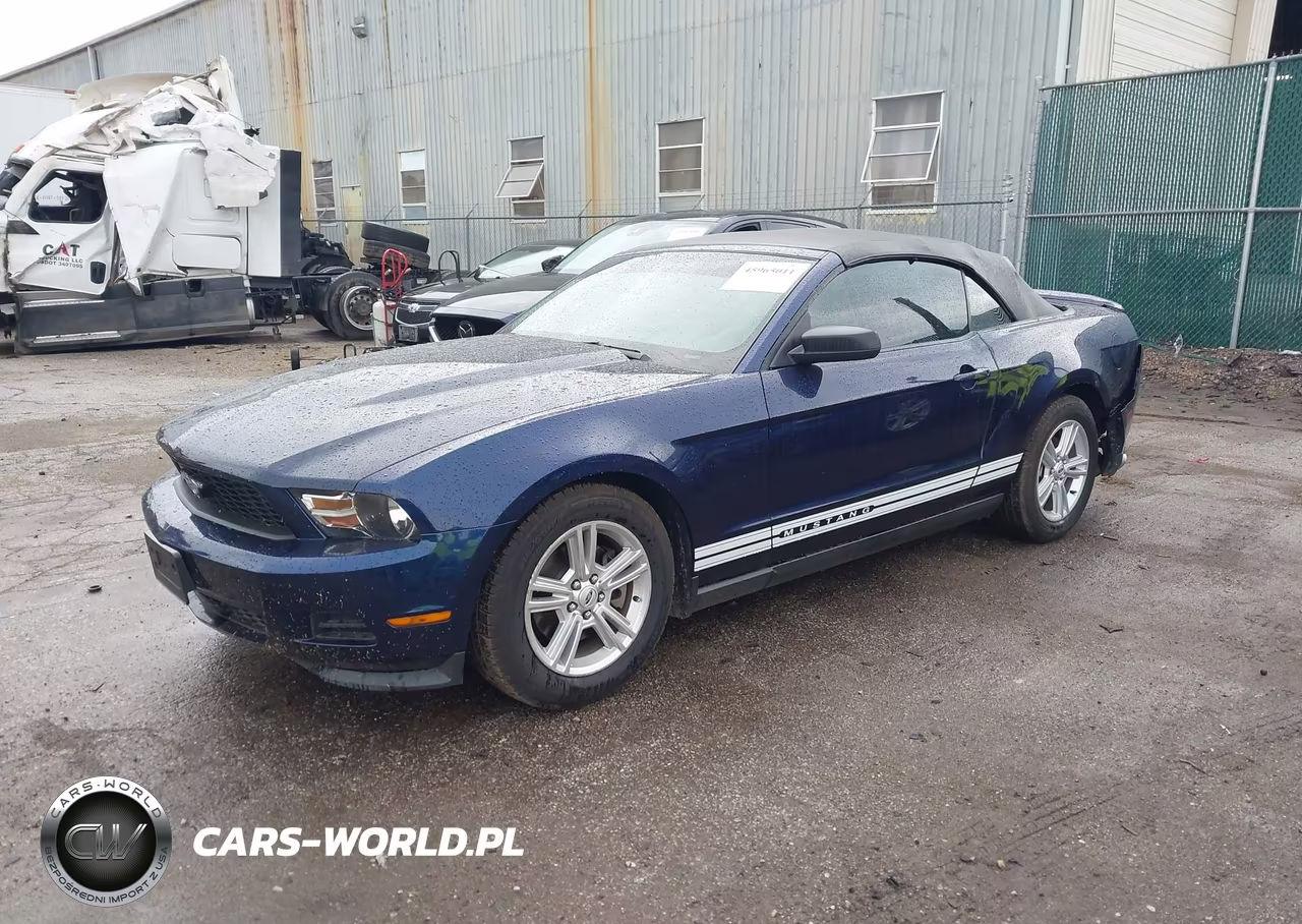2011 Ford Mustang V6 VIN:1ZVBP8EM6B5137770 - 2