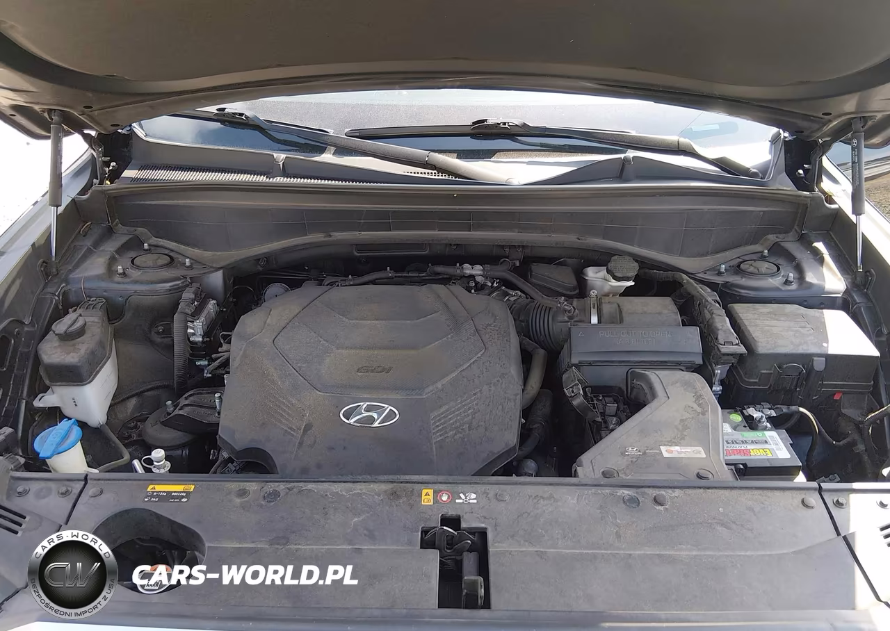 2020 Hyundai Palisade Sel VIN:KM8R34HE3LU049630 - 10