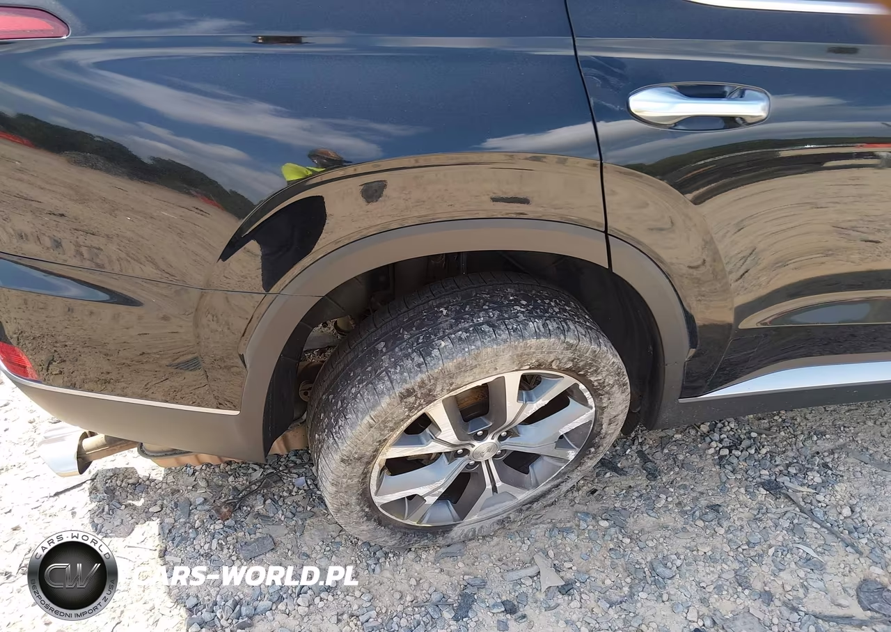 2020 Hyundai Palisade Sel VIN:KM8R34HE3LU049630 - 18