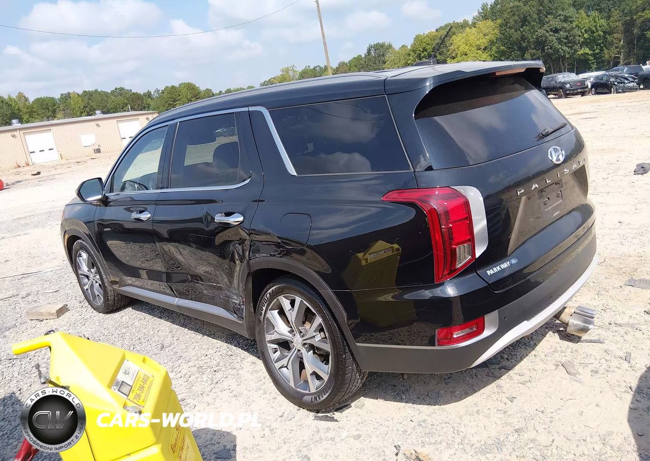 2020 Hyundai Palisade Sel VIN:KM8R34HE3LU049630 - 3
