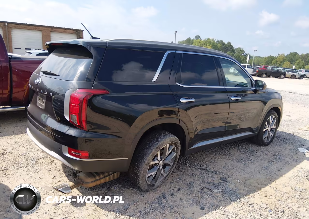 2020 Hyundai Palisade Sel VIN:KM8R34HE3LU049630 - 4