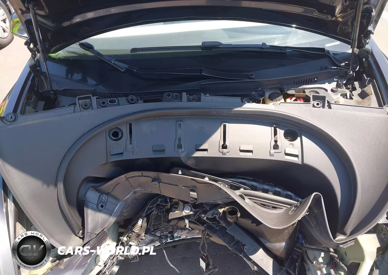 2024 Tesla Model 3 Long Range Dual Motor All-Wheel Drive-Rear-Wheel Drive VIN:5YJ3E1EA5RF814391 - 10