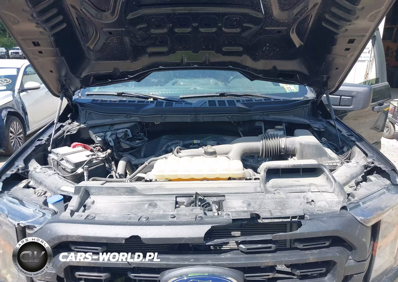 2023 Ford F-150 Xl VIN:1FTEX1EP4PKF95382 - 10