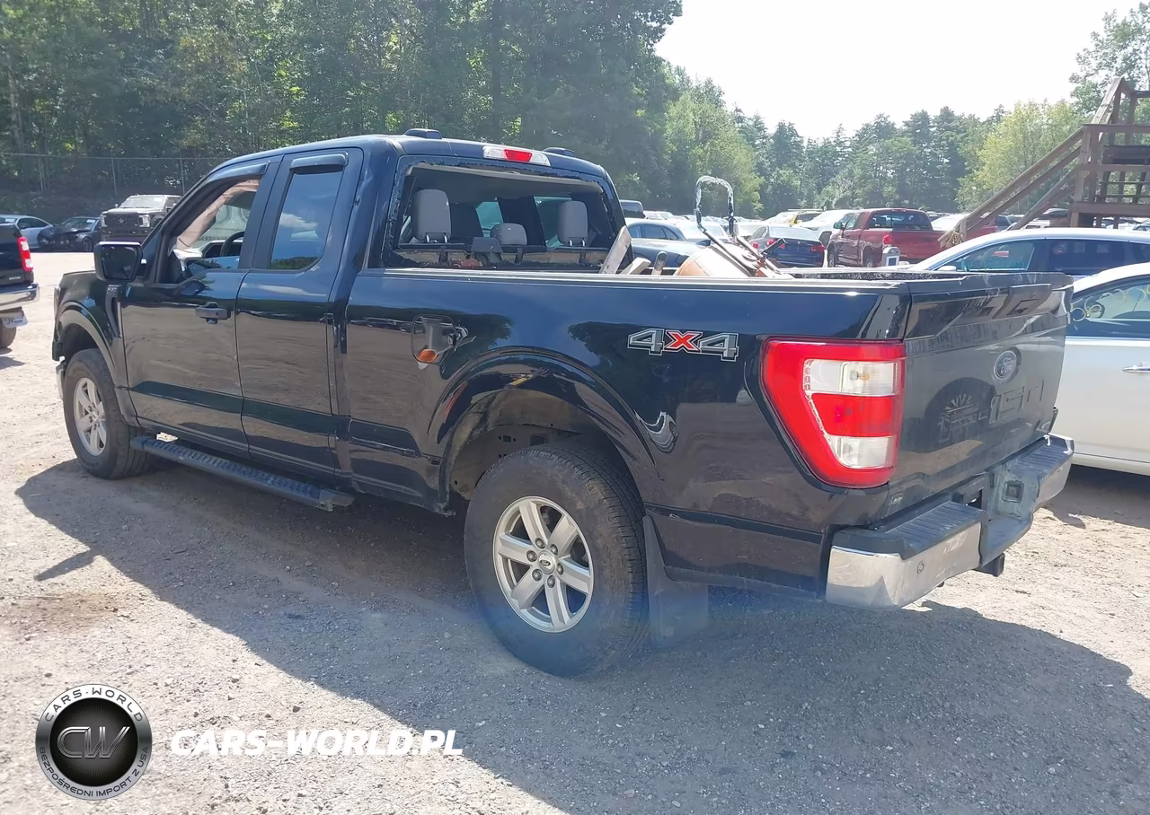 2023 Ford F-150 Xl VIN:1FTEX1EP4PKF95382 - 3