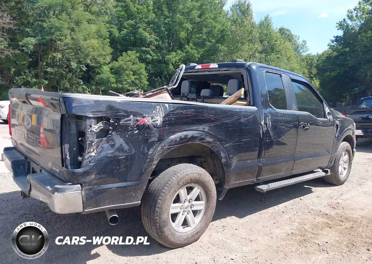 2023 Ford F-150 Xl VIN:1FTEX1EP4PKF95382 - 4