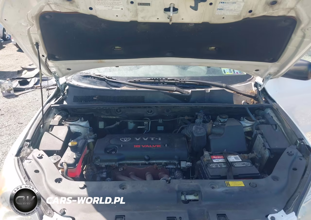 2006 Toyota Rav4 VIN:JTMBD33V566009496 - 10