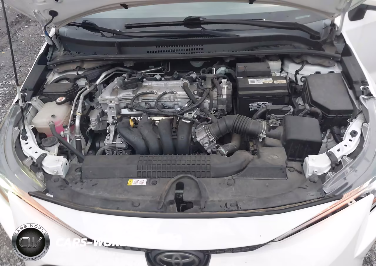 2021 Toyota Corolla Le VIN:5YFVPMAE2MP160248 - 10
