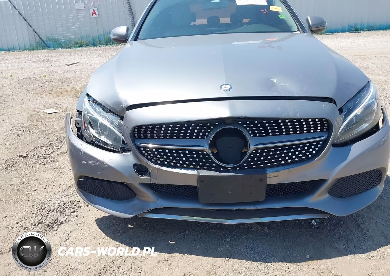 2016 Mercedes-Benz C 300 VIN:55SWF4JB1GU103132 - 17