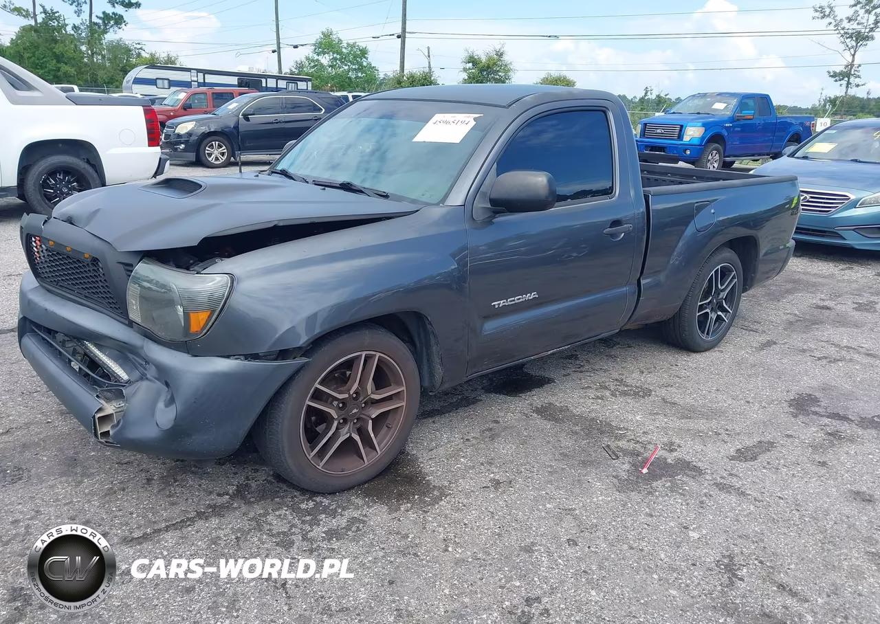 2009 Toyota Tacoma VIN:5TENX22N19Z622223 - 2