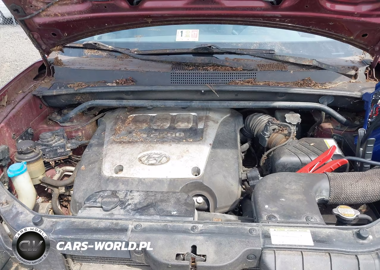 2005 Hyundai Tucson Gls-Lx VIN:KM8JN72D95U126240 - 10