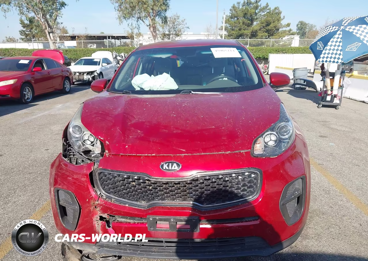 2019 Kia Sportage Lx VIN:KNDPM3AC8K7619095 - 13