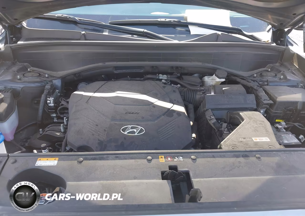 2023 Hyundai Palisade Calligraphy VIN:KM8R74GE3PU627513 - 10
