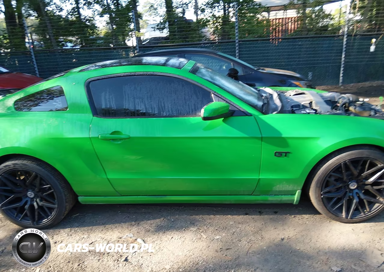 2010 Ford Mustang Gt Premium VIN:1ZVBP8CH4A5101421 - 13