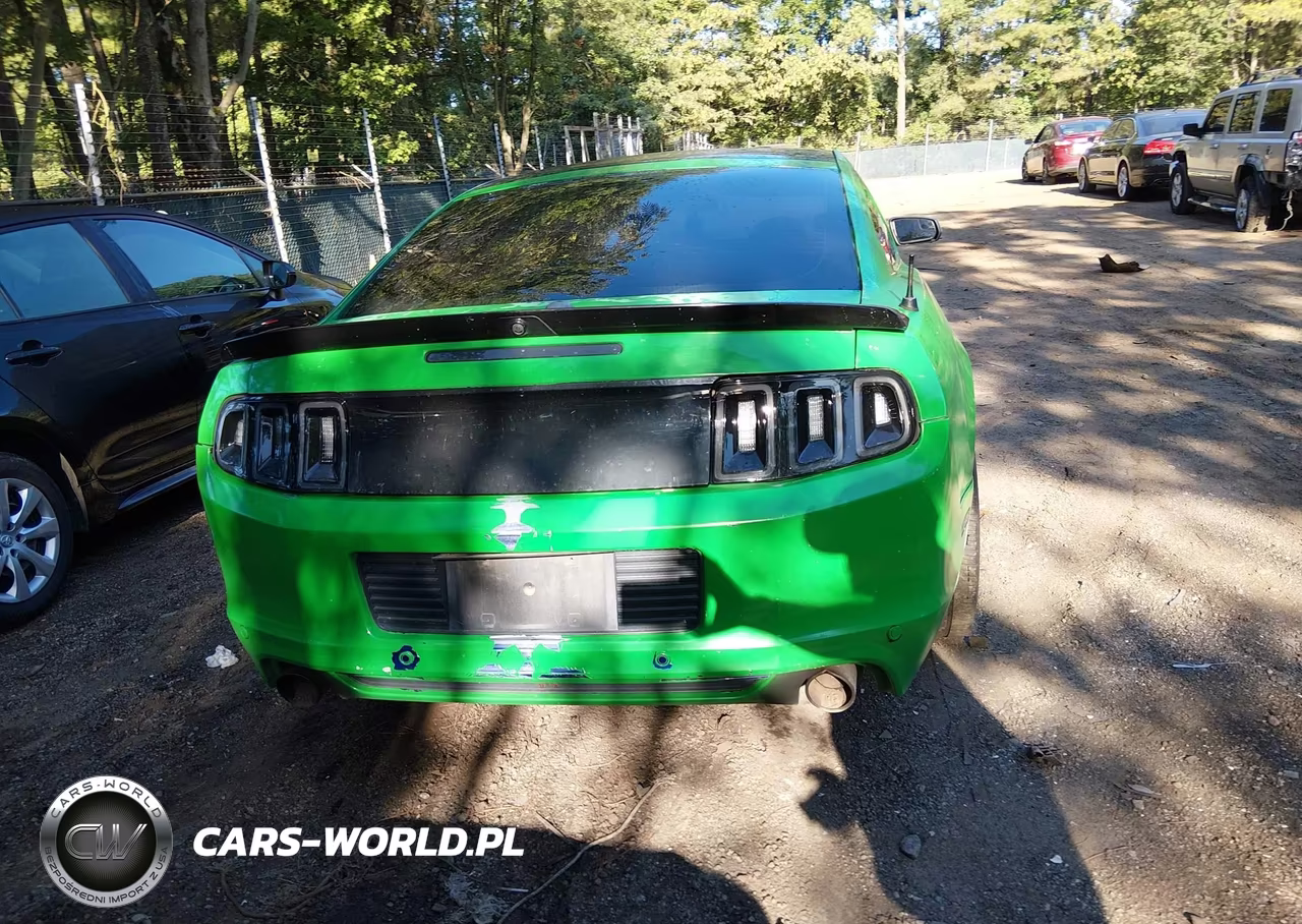 2010 Ford Mustang Gt Premium VIN:1ZVBP8CH4A5101421 - 16