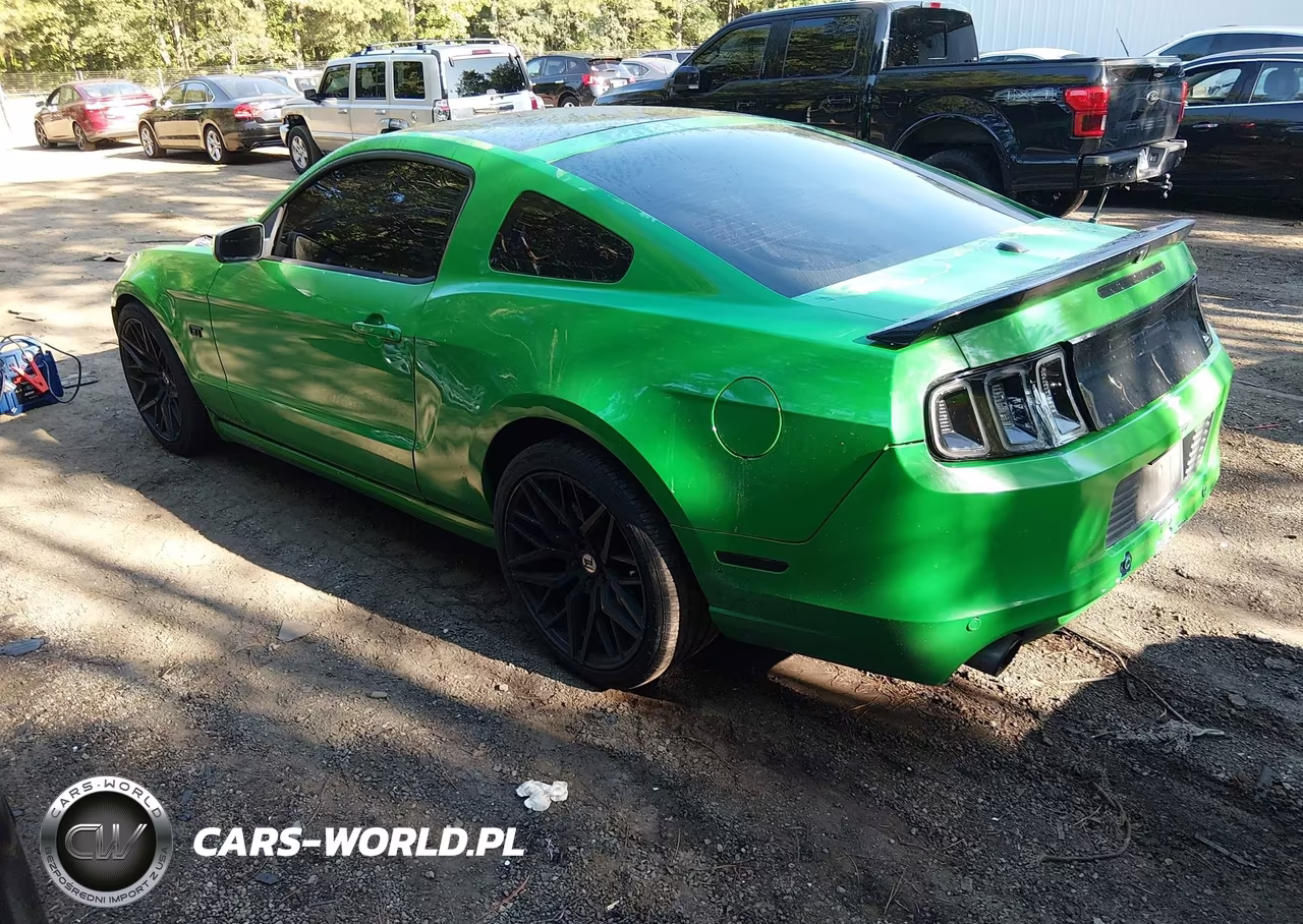 2010 Ford Mustang Gt Premium VIN:1ZVBP8CH4A5101421 - 3