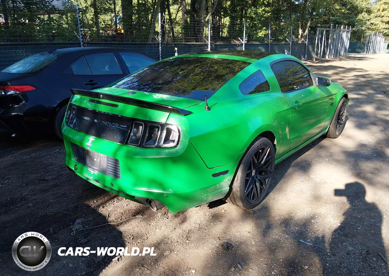 2010 Ford Mustang Gt Premium VIN:1ZVBP8CH4A5101421 - 4