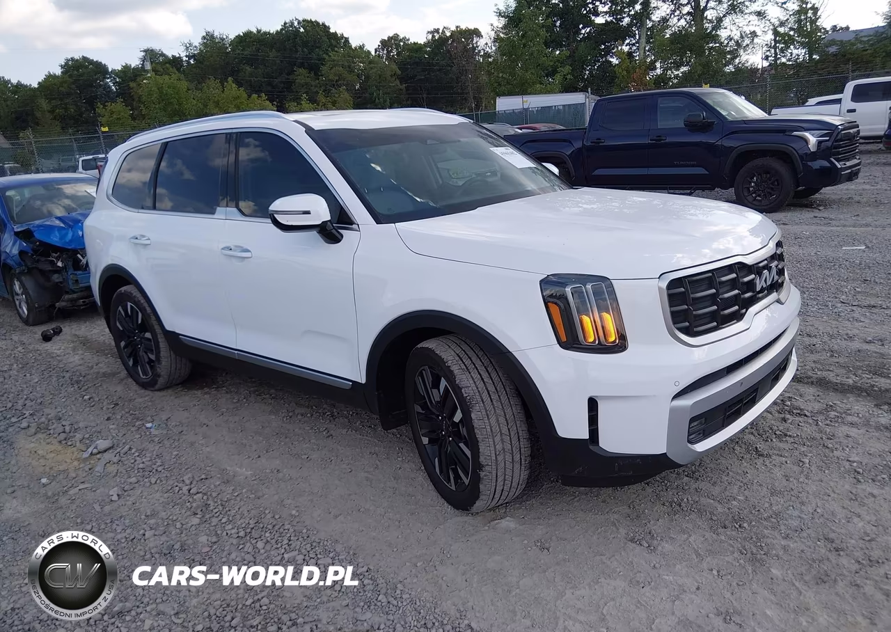 2024 Kia Telluride Sx Prestige
