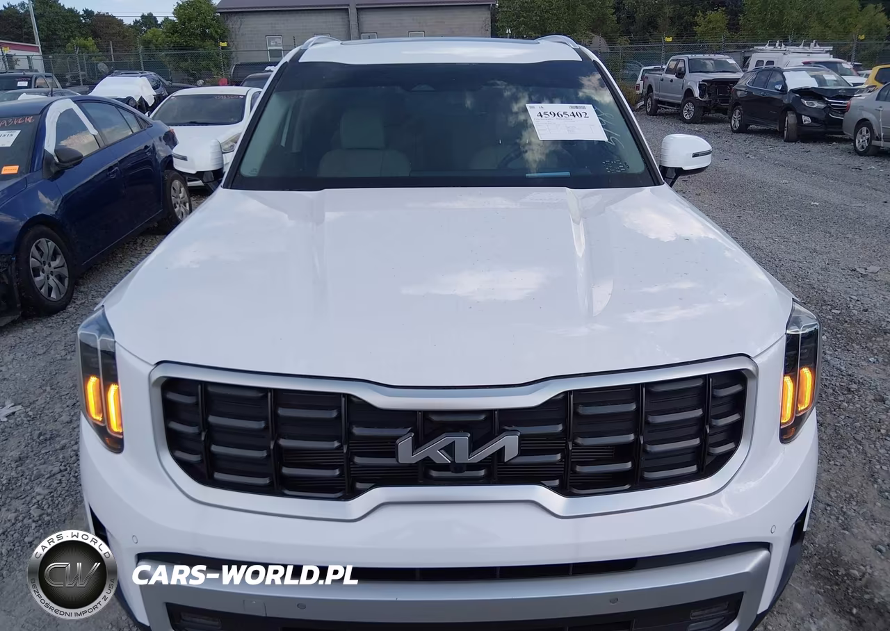 2024 Kia Telluride Sx Prestige VIN:5XYP5DGC3RG515198 - 12