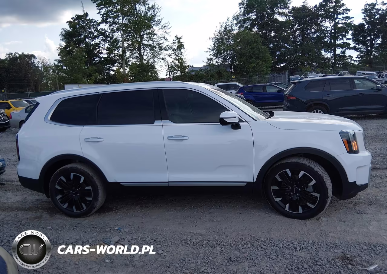 2024 Kia Telluride Sx Prestige VIN:5XYP5DGC3RG515198 - 13