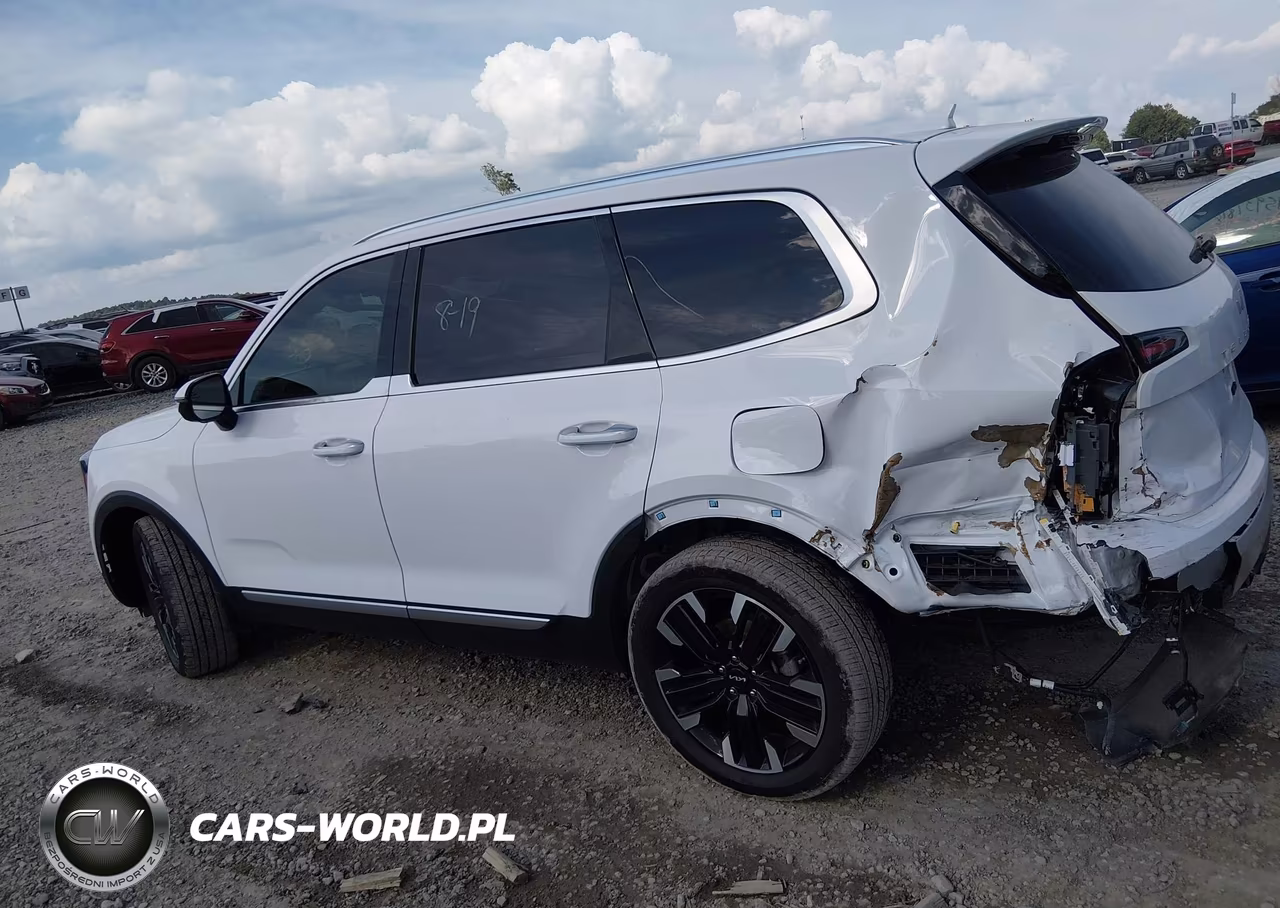 2024 Kia Telluride Sx Prestige VIN:5XYP5DGC3RG515198 - 14