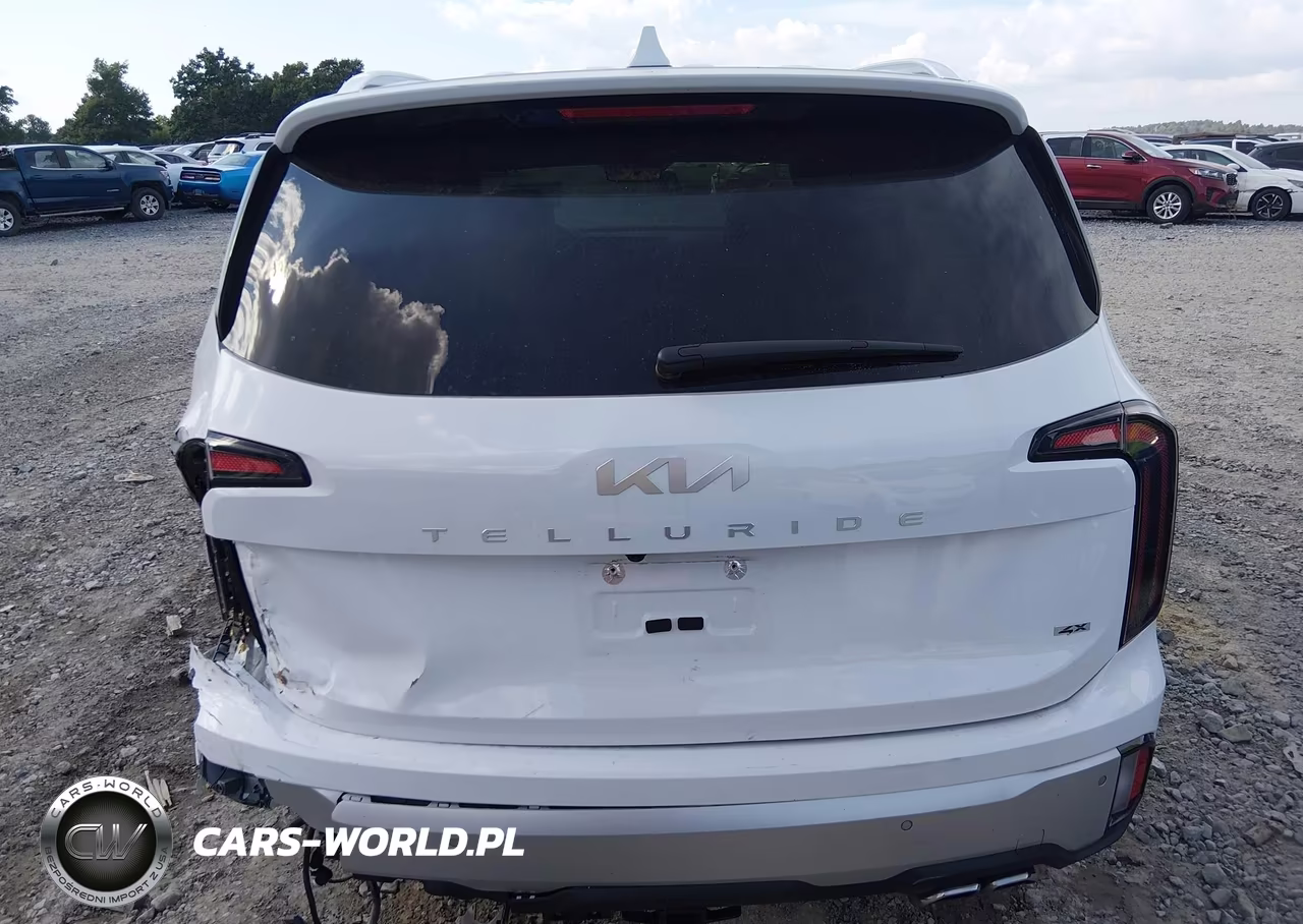 2024 Kia Telluride Sx Prestige VIN:5XYP5DGC3RG515198 - 16