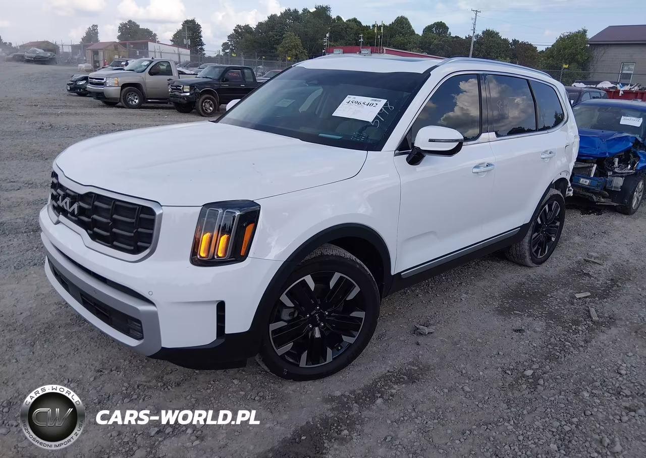 2024 Kia Telluride Sx Prestige VIN:5XYP5DGC3RG515198 - 2