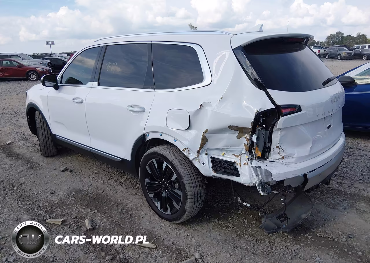 2024 Kia Telluride Sx Prestige VIN:5XYP5DGC3RG515198 - 3