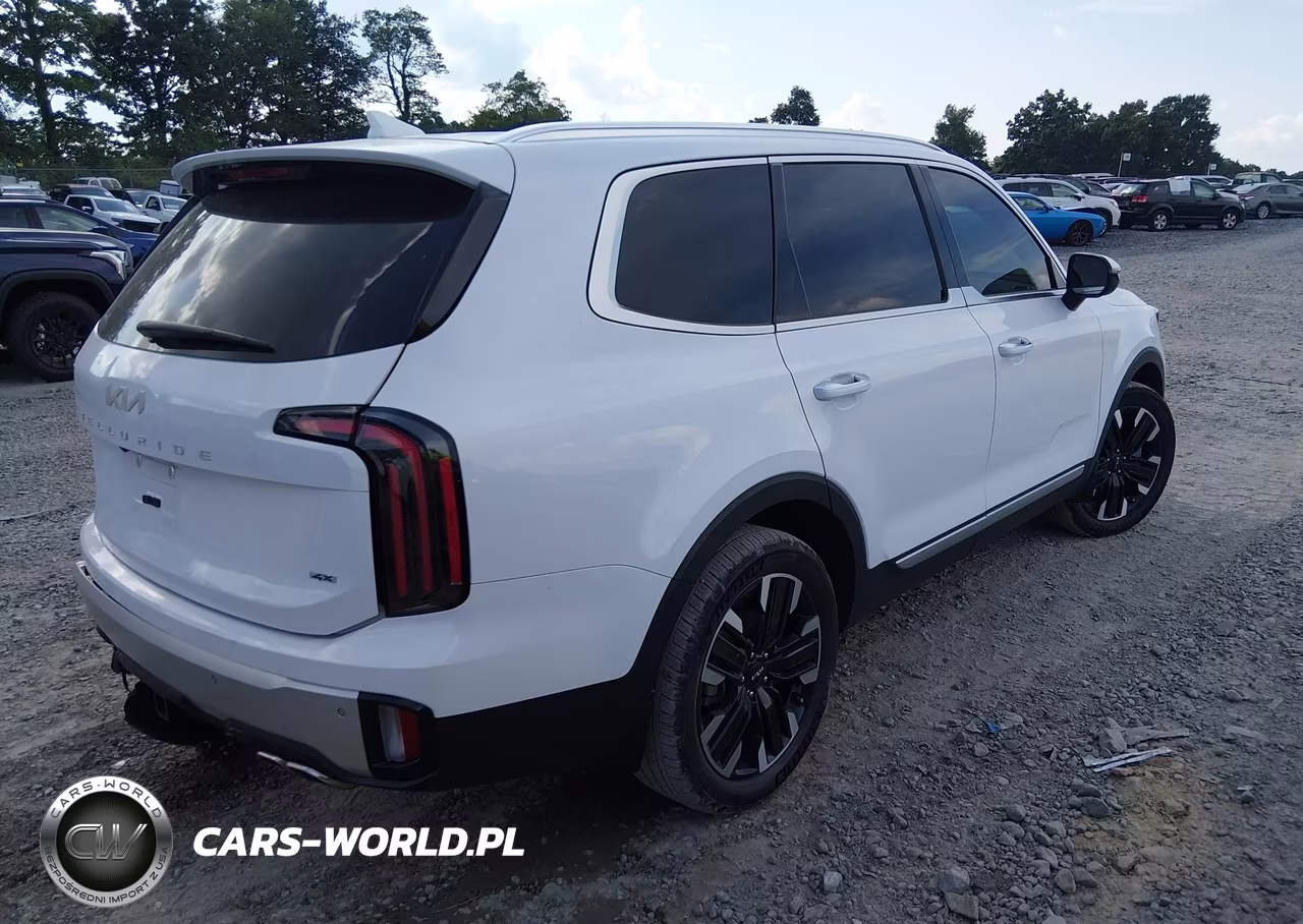 2024 Kia Telluride Sx Prestige VIN:5XYP5DGC3RG515198 - 4