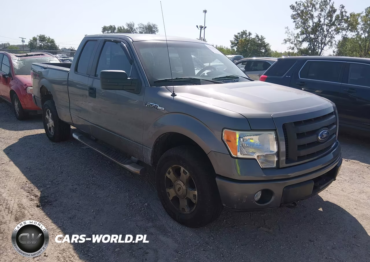 2010 Ford F-150 Stx-Xl