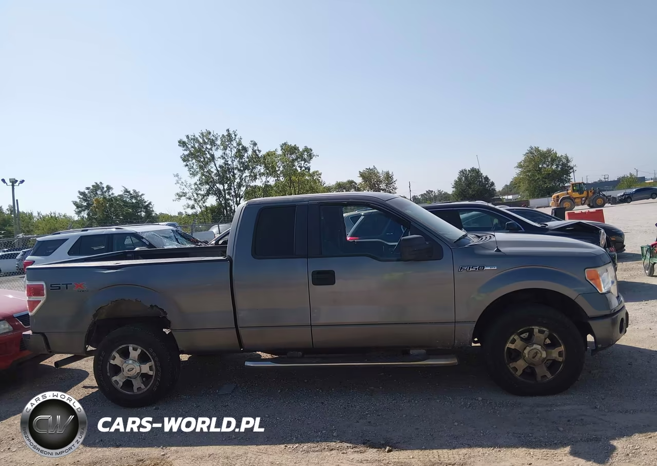 2010 Ford F-150 Stx-Xl VIN:1FTEX1EW8AFA25764 - 13