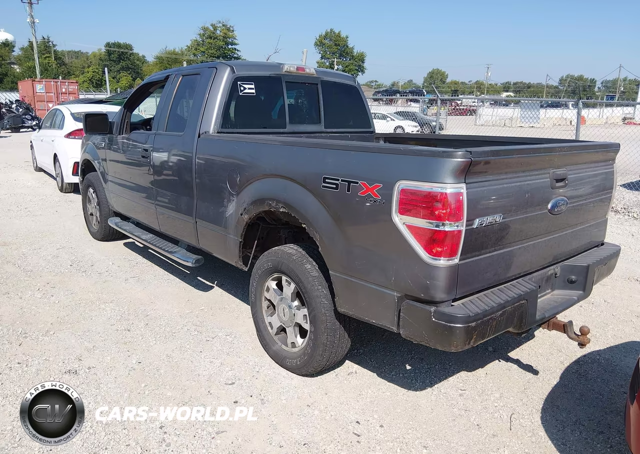 2010 Ford F-150 Stx-Xl VIN:1FTEX1EW8AFA25764 - 3