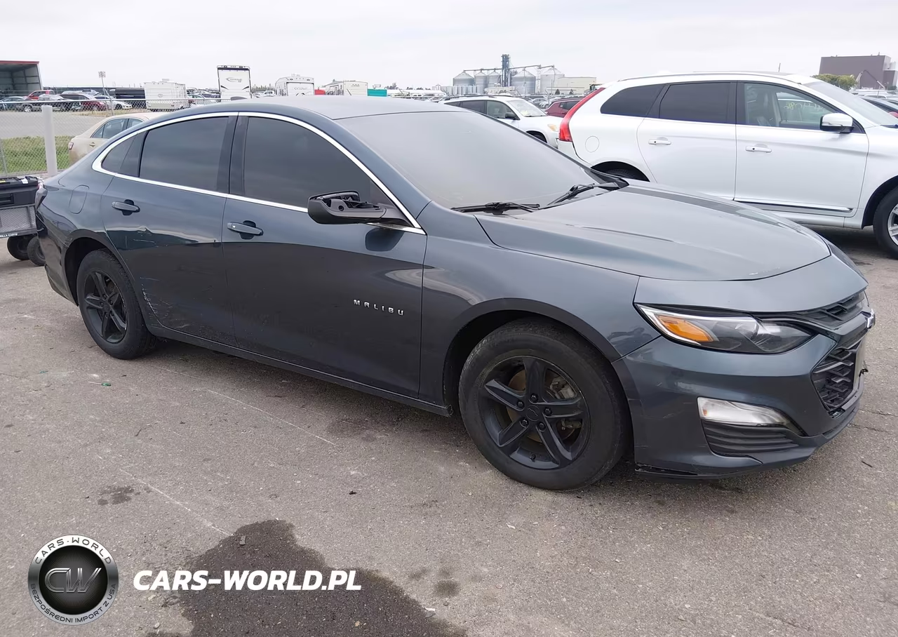 2019 Chevrolet Malibu 1Fl