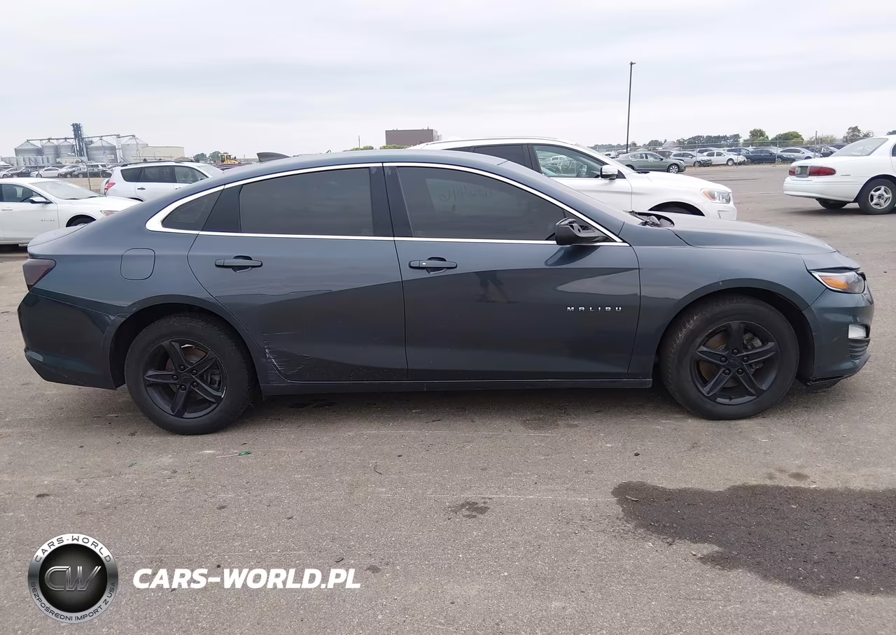 2019 Chevrolet Malibu 1Fl VIN:1G1ZC5ST6KF124463 - 13