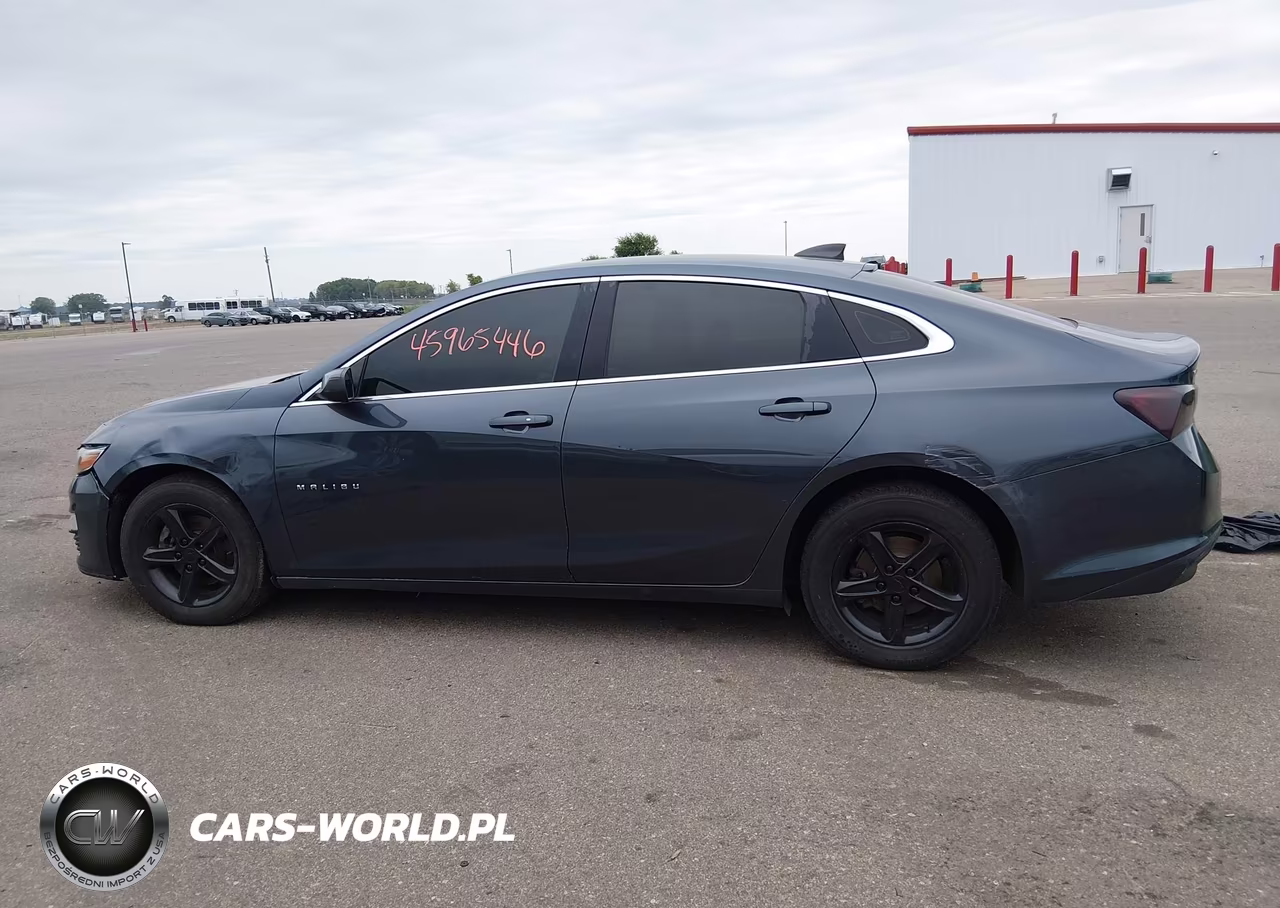 2019 Chevrolet Malibu 1Fl VIN:1G1ZC5ST6KF124463 - 14